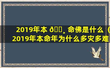 2019年本 🕸 命佛是什么（2019年本命年为什么多灾多难）